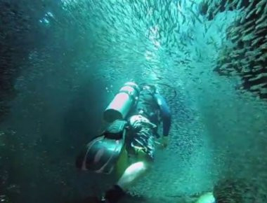 Κολυμπώντας με «ένα εκατομμύριο ψάρια» στον βυθό του Γκραντ Κέιμαν (βίντεο)